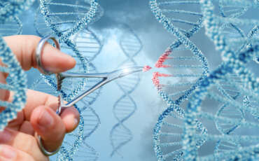 Principi cristiani per le manipolazioni genetiche