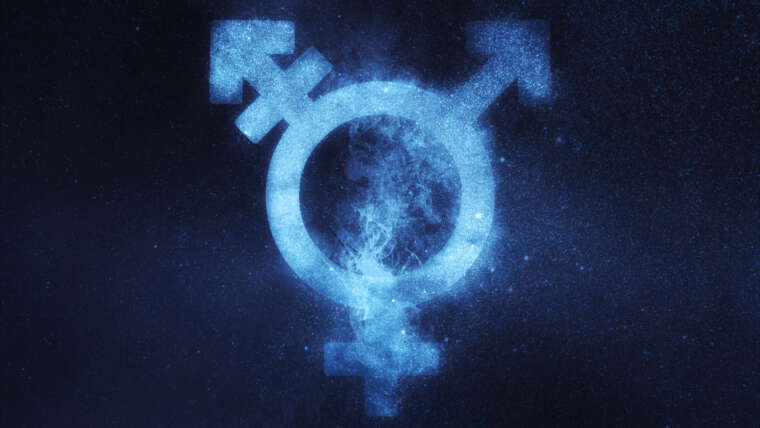 Dichiarazione sul transgender