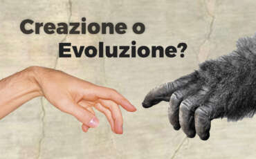 01. Evoluzione e trasformismo