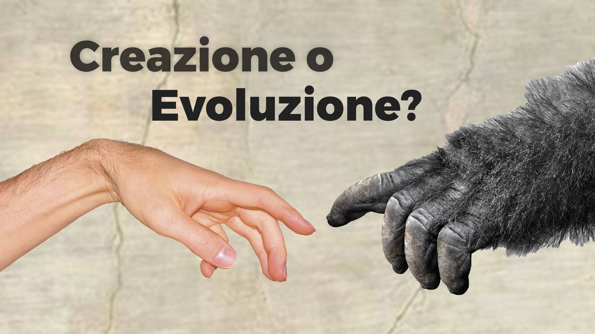 02. I fossili provano l’evoluzione?